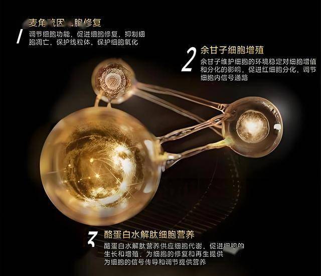 烧腊品牌「新财肉记」完成近1000万天使轮融资，文和友参股基金独家理财